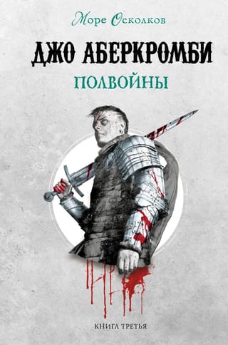 Море Осколков. Книга 3. Полвойны