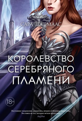 The Kingdom of Thorns and Roses. Book 5. The Kingdom of Silver Flame
