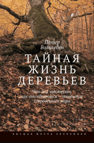 Тайная жизнь деревьев. Что они чувствуют, как они общаются — открытие сокровенного мира