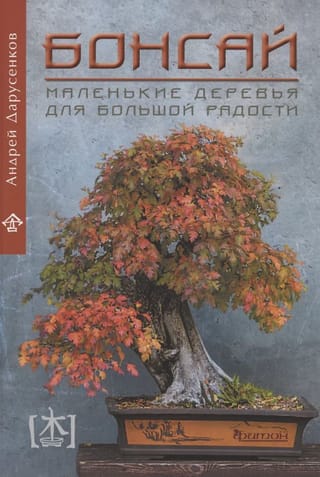 Bonsai: mazi koki lielam priekam
