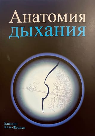 Анатомия дыхания