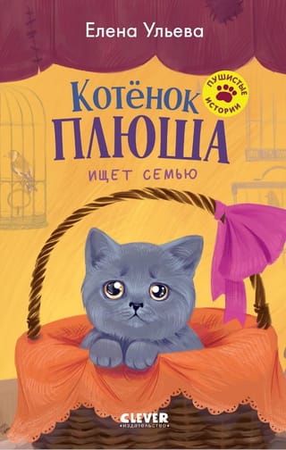 Plush the kitten is looking for a family.