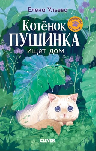 Kitten Pushinka is looking for a home