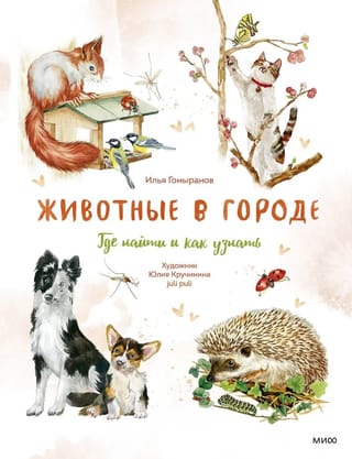 Животные в городе. Где найти и как узнать