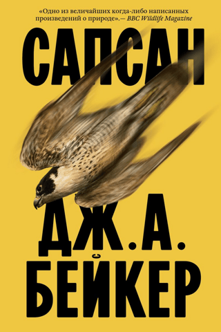 Сапсан