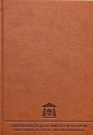 Diary of a Fall
