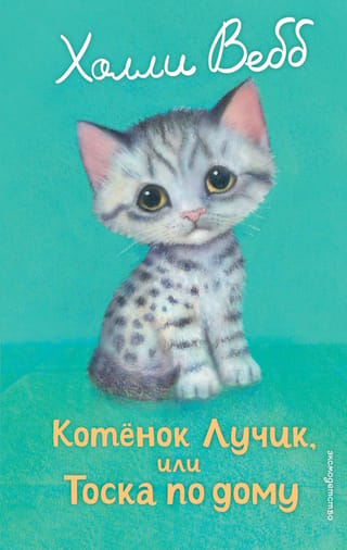 Котенок Лучик, или Тоска по дому