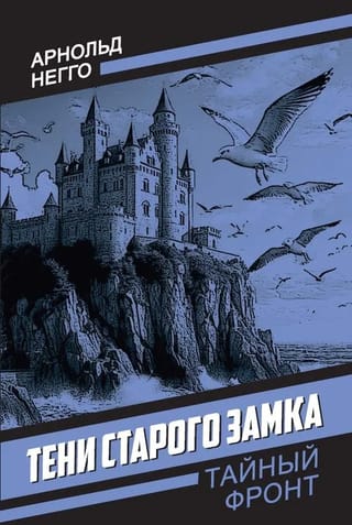 Shadows of the Old Castle