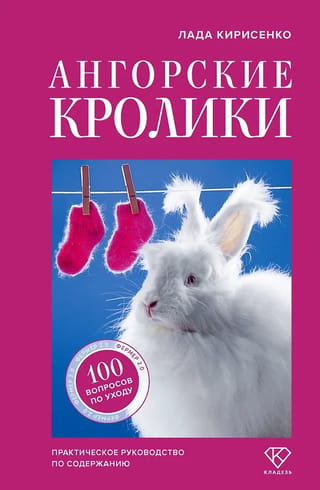 Angora Rabbits: A Practical Guide to Care and Maintenance