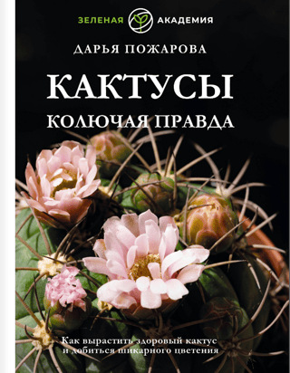 Кактусы. Колючая правда