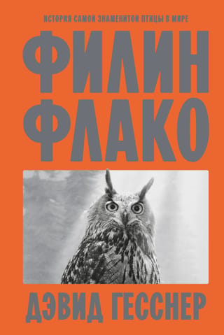 Филин Флако. История самой знаменитой птицы в мире