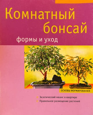 Bonsai iekštelpās: formas un kopšana