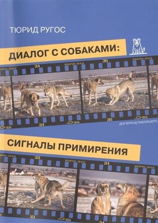 Dialogue with dogs: signals of reconciliation