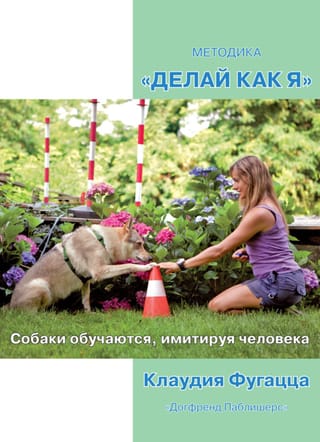 Metode "Dari tāpat kā es": suņi mācās, atdarinot cilvēkus.