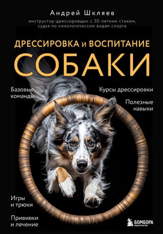 Dog training and education