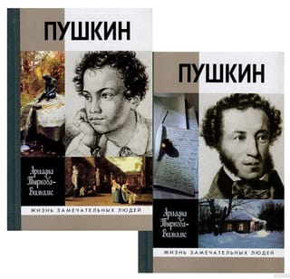 Жизнь Пушкина. В 2 томах