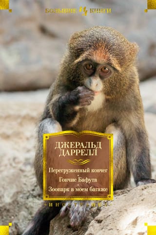 Pārslogotā šķirsta. Bafutas suņi. Zoodārzs manā bagāžā.