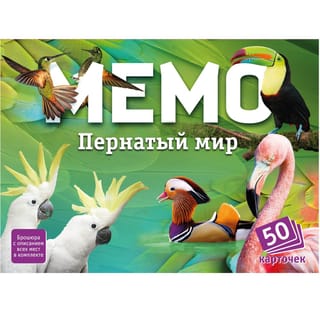 Мемо «Пернатый мир»