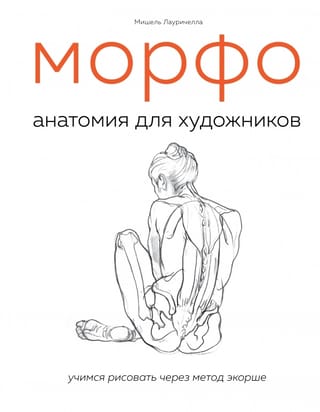 Morfo. Anatomija māksliniekiem