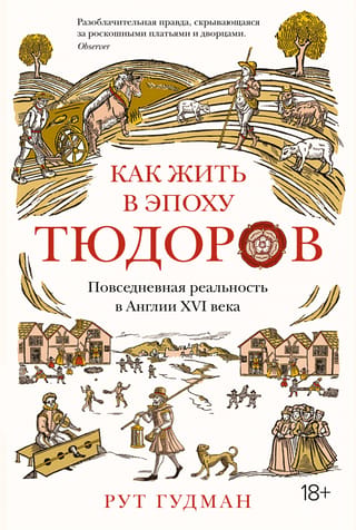 Как жить в эпоху Тюдоров. Повседневная реальность в Англии XVI века