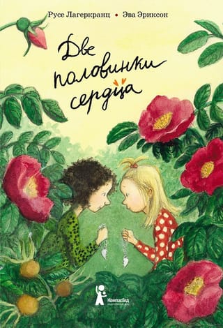 Two halves of the heart