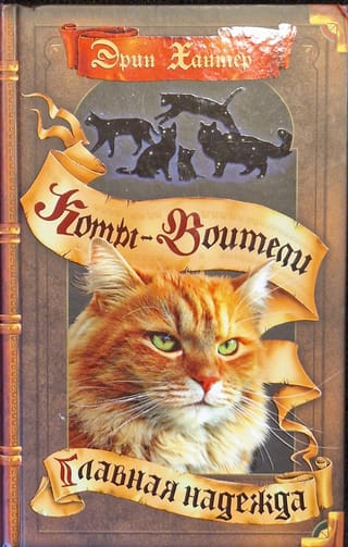 Zvaigžņu zīme. 6. grāmata. Galvenā cerība