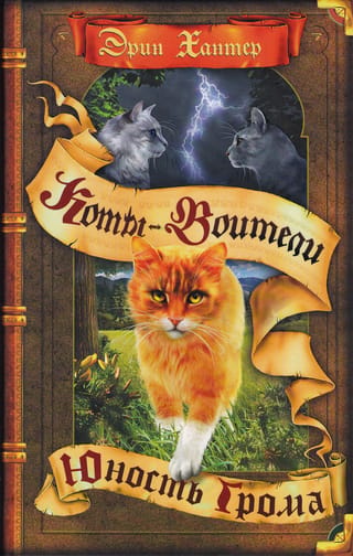 Cilšu sākums. 2. grāmata. Pērkona jaunība