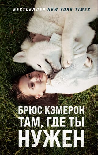 Там, где ты нужен