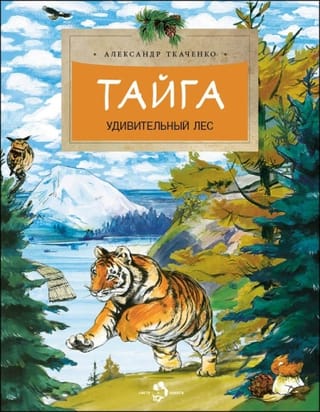 Taiga. An amazing forest.