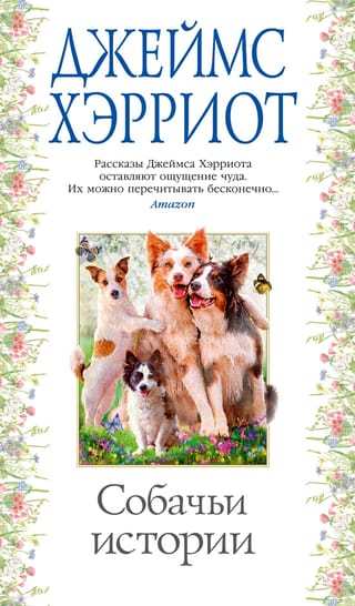 Dog Stories