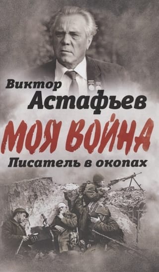 В окопах. Война глазами солдата
