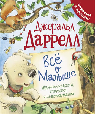 Viss par mazuli. Kucēnu prieki, atklājumi un pārpratumi.