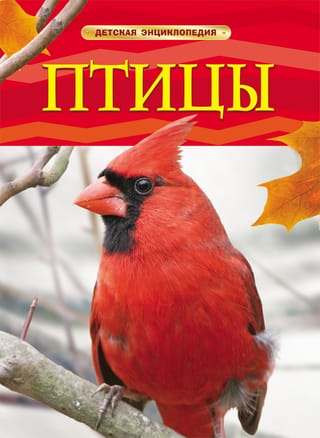 Putni: Bērnu enciklopēdija