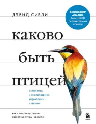 Kā ir būt putnam: par lidošanu un ligzdošanu, barošanos un dziedāšanu. Kā un no kā dzīvo slavenākie putni uz zemes.