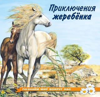 Познаем мир вокруг нас. Приключения жеребенка