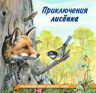 Познаем мир вокруг нас. Приключения лисенка
