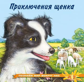 Познаем мир вокруг нас. Приключения щенка