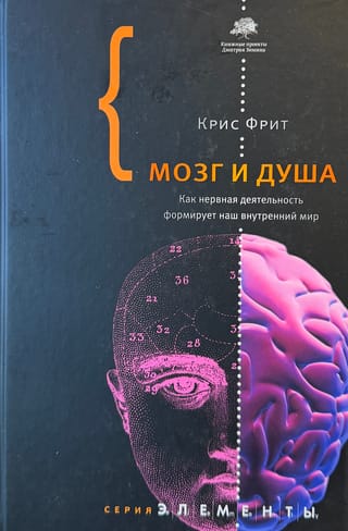 Smadzenes un dvēsele: kā nervu darbība veido mūsu iekšējo pasauli