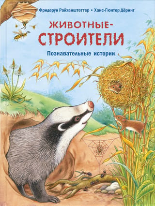 Животные-строители. Познавательные истории