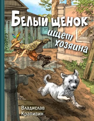 Balts kucēns meklē saimnieku.