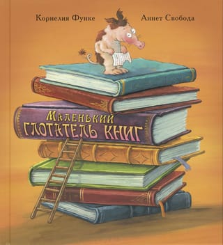 Mazais grāmatu rijējs