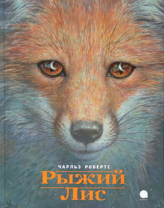 Sarkanā lapsa