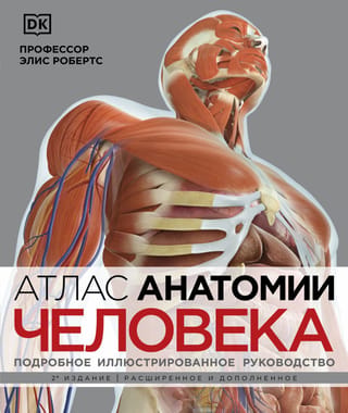 Cilvēka anatomijas atlants: visaptverošs ilustrēts ceļvedis