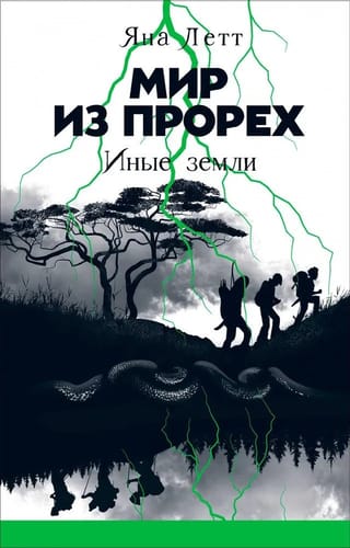 Мир из прорех. Книга 3. Иные земли