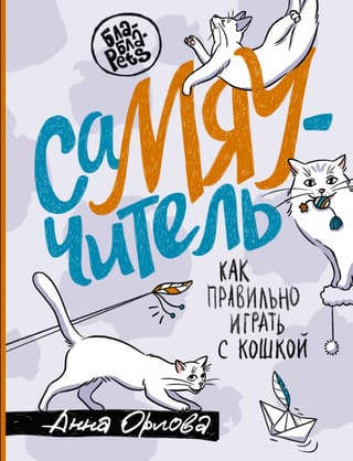 SamYaTeacher. How to play with a cat properly