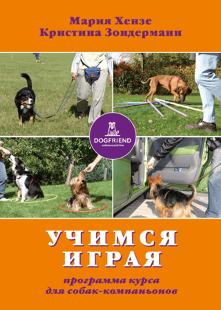 Learning Through Play: A Companion Dog Training Program
