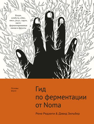 Noma fermentācijas ceļvedis