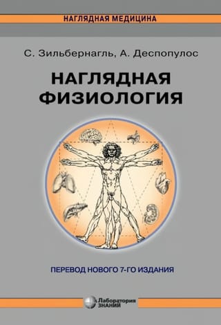 Наглядная физиология