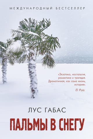 Palmas sniegā