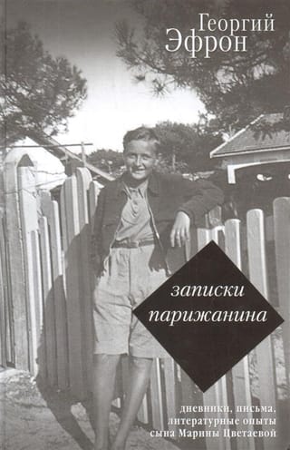Notes of a Parisian: Diaries, letters, and literary essays from 1941–1944